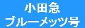 小田急ブルーメッツ号